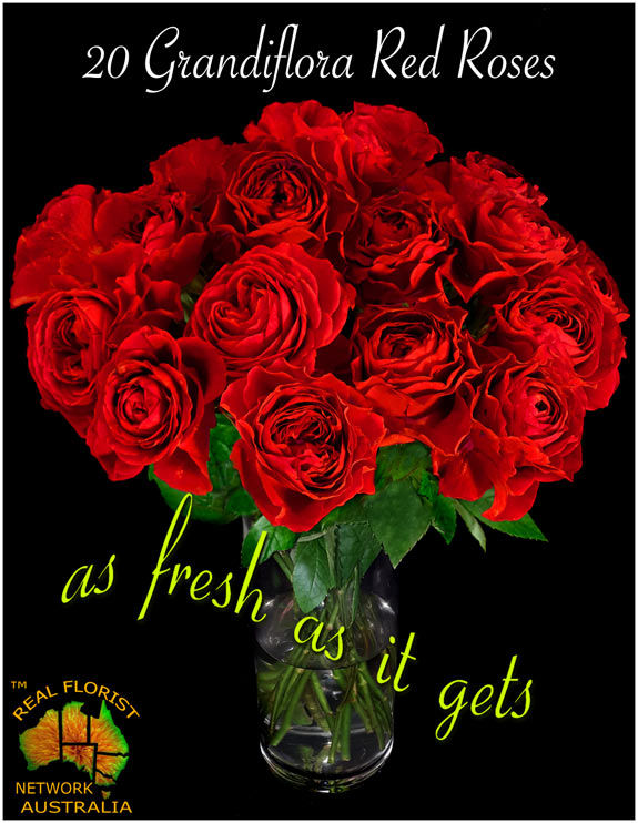 20 GRANDIFLORA RED ROSES in Vase with Free Delivery A$129.00