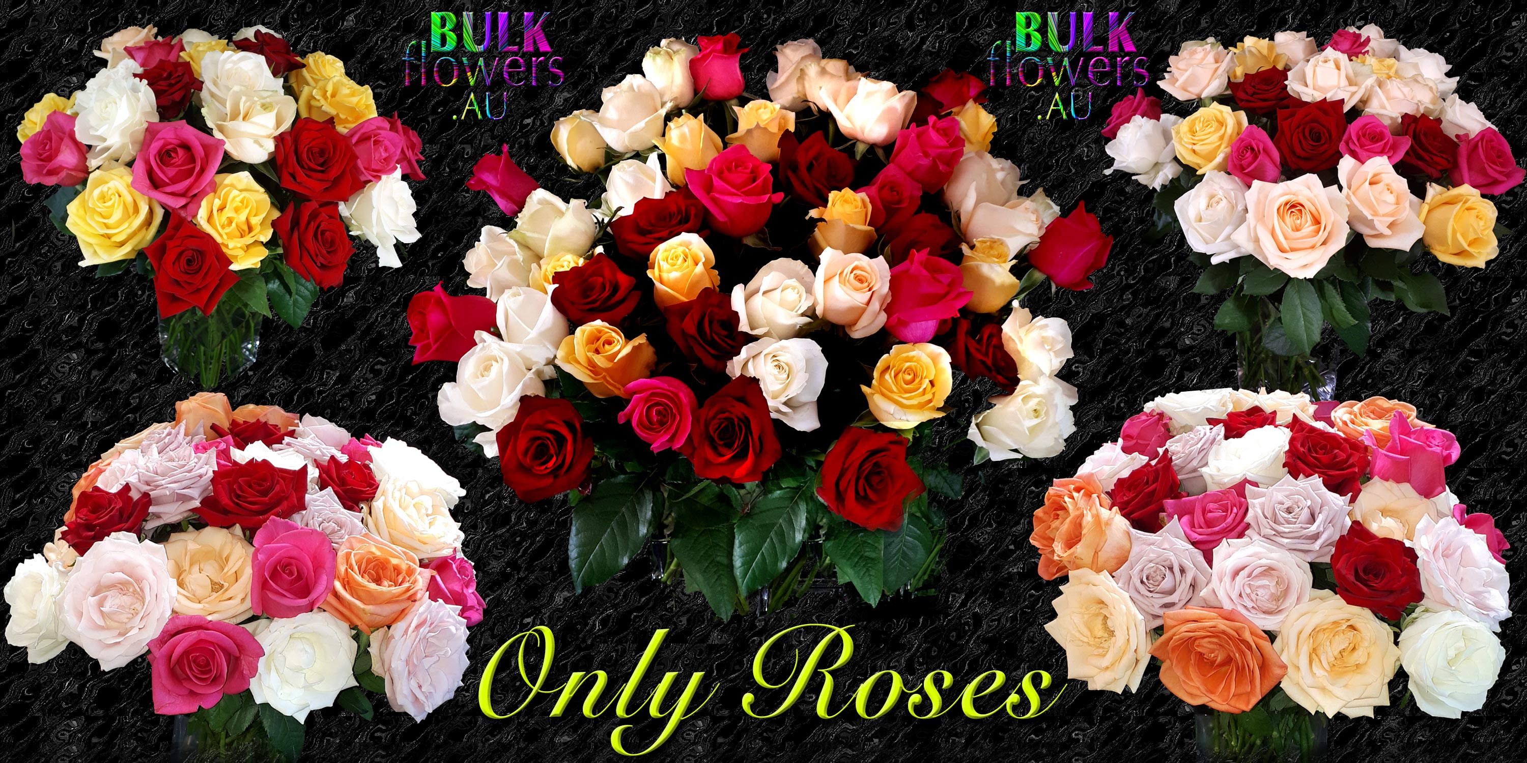 ONLY ROSES