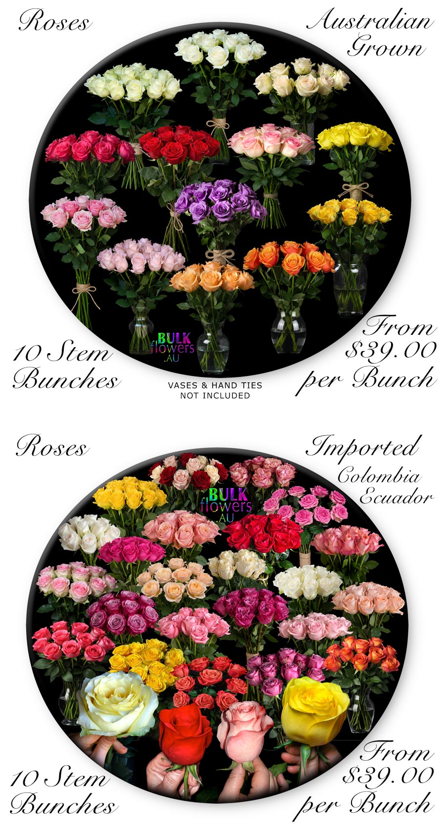 BULK FLOWERS ONLY ROSES