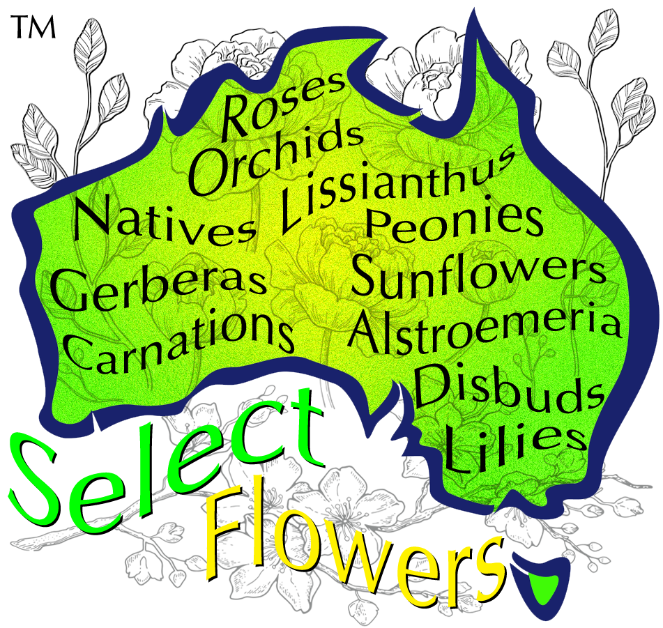 SELECT FLOWERS ONLY ROSES